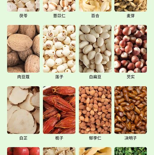 【买5送5】 科学配比 匠心取材 20包/盒 商品图1