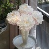 进口品种Gardenia栀子芍药花 商品缩略图7