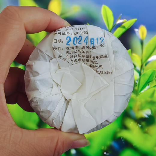 2024春茶-景迈山春茶《特沱》生茶沱茶100克*5沱 买2提送1沱 商品图3