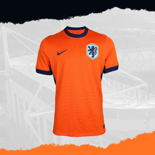 小李子NIKE耐克2024欧洲杯荷兰主场球迷版比赛球衣短袖成人男FJ4276-819 商品图4