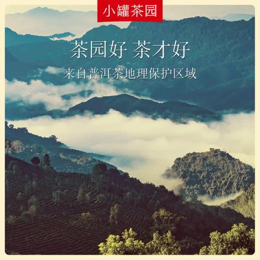 小罐茶  彩标系列普洱熟茶  160g 免洗茶 风味纯净 48小时发货 商品图1