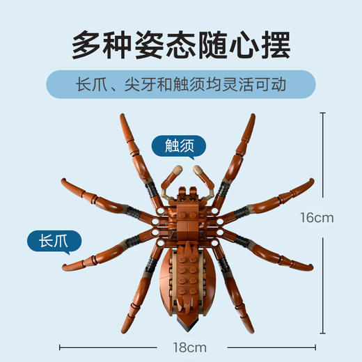 乐高LEGO 禁林的神奇动物LEGC76434 商品图3