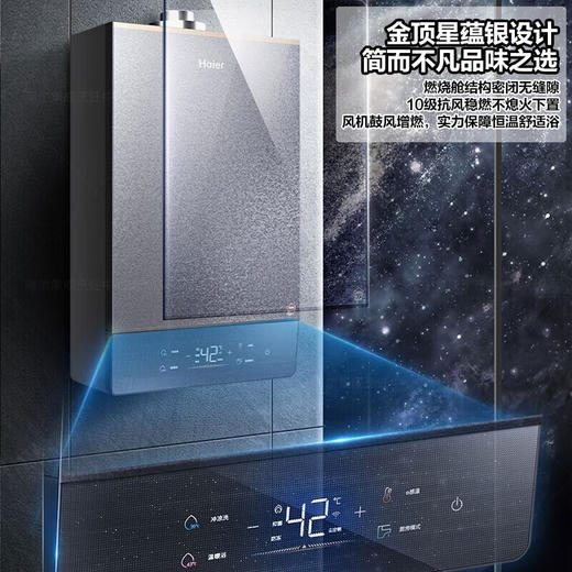 平衡式燃气热水器16升恒温下置风机全密闭稳燃舱浴室柜子嵌入安装 16L 海尔JSG31-16FU5BPU1 商品图6