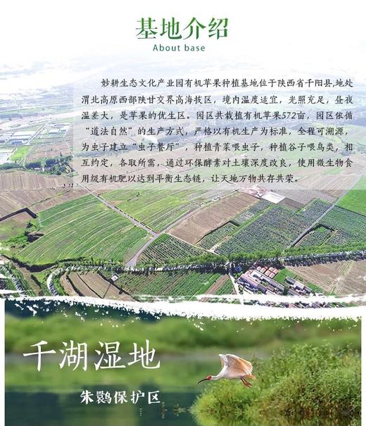 蓝苹果汁（有机蓝莓+有机苹果）纯果汁  天然果香 酸甜清爽 商品图5