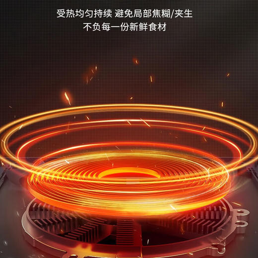 志高电磁炉 2100W大功率 家用触控按键电磁灶火锅炉 21R1 标配 商品图1