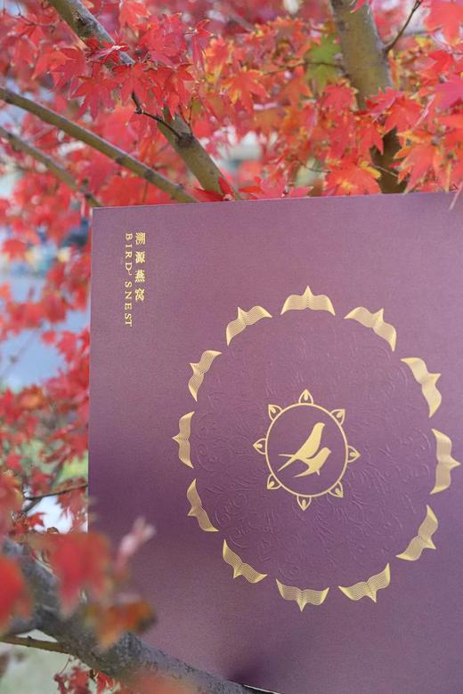 印尼燕窝 紫色礼盒装 商品图2