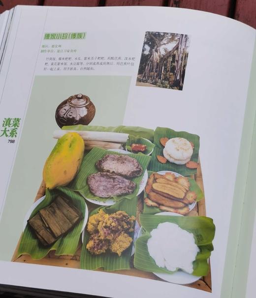 《滇菜大系》精装2厚册 12开本铜版彩印 商品图14