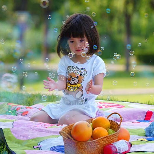 iDS托皮瑞公园Topiary Park超声波牛津野餐垫 国内发货 商品图0