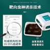 澳洲进口AIRUSH捕虫盒15g/盒 商品缩略图1