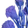 永生花材 | 康乃馨紫 商品缩略图4