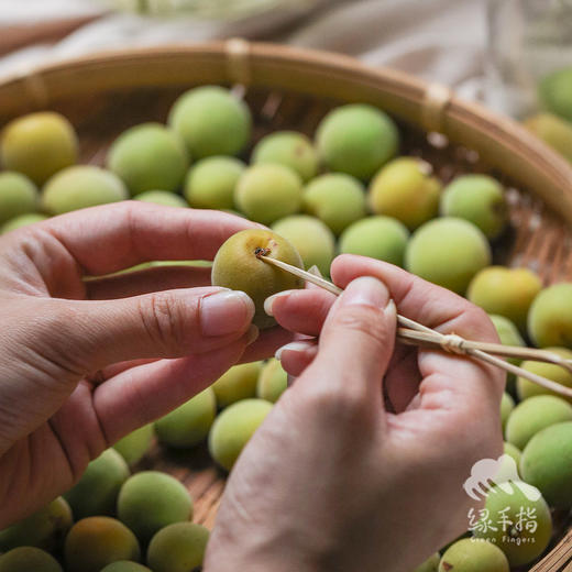 生态青梅（云南）（预售，预计5月12日开始发货） | 合作生产 * Eco-green plum | Coproduction 商品图2