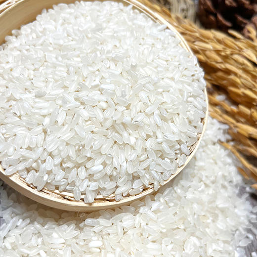 珍粒香有机龙凤山产区五常大米5kg10斤GB/T19266优质一等一年一季大米  天蓝色 商品图3
