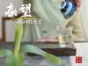 【白茶礼盒装】2024牡丹王，白毫奇多，做好仅几天茶汤就生成3个月才有的糯感 商品缩略图8