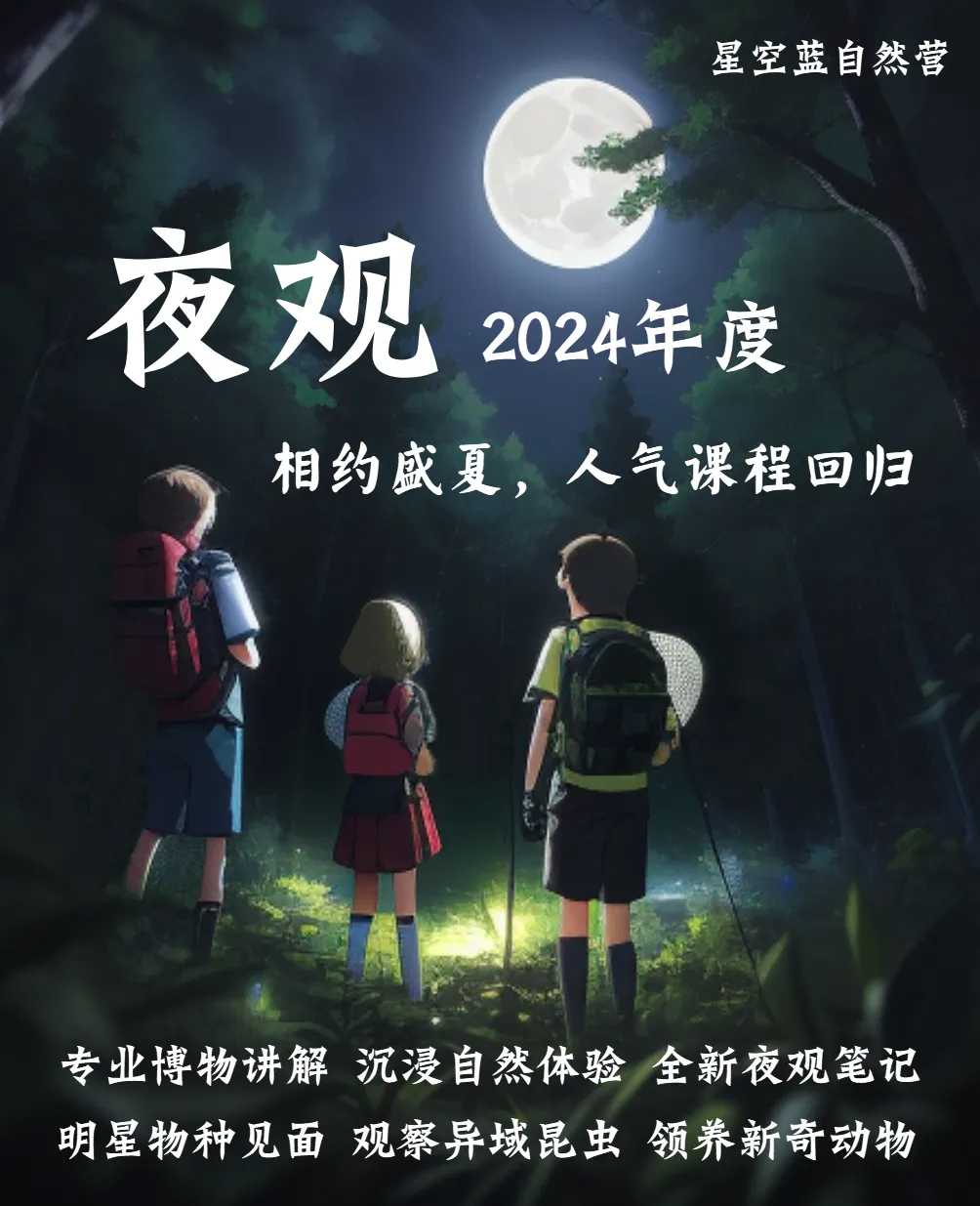 2024年西湖西溪夜观课程线路