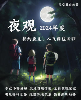 2024年西湖西溪夜观课程线路