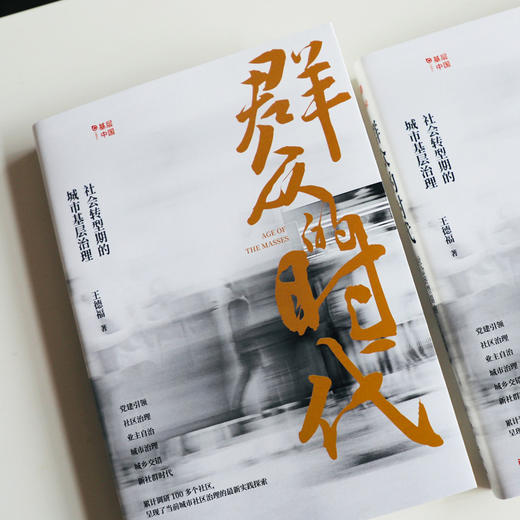 【连岳】群众的时代：社会转型期的城市基层治理 商品图2