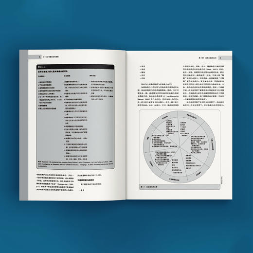 《0—12岁儿童社会性发展：理论与技巧》（第八版） 商品图6