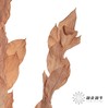 永生花材 | 桔叶咖色 商品缩略图3