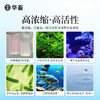 华畜硝化细菌鱼缸用专用胶囊净水剂活菌干粉水质稳定净化水族鱼用 商品缩略图2