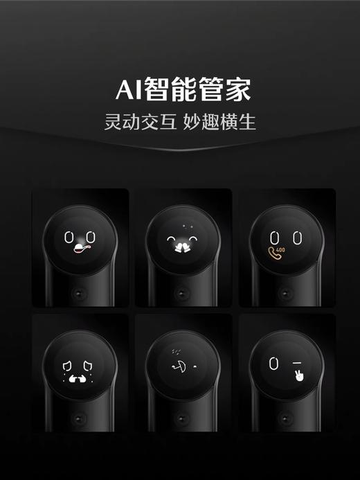 LR【德施曼麒麟R9人脸猫眼智能门锁掌静脉智能锁智慧屏指纹锁密码锁】DSM 商品图1