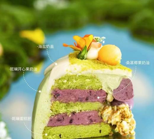 熊猫乐园 商品图2