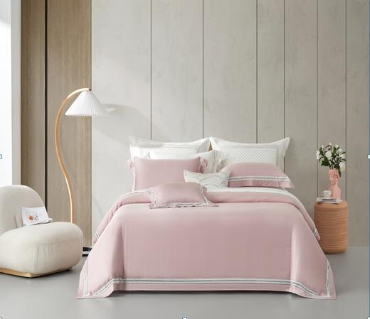 恐龙 RTS2189-4 舒曼 商品图0