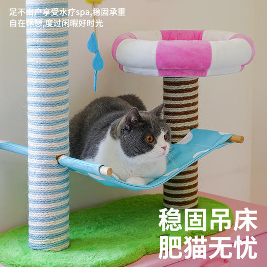 zeze缤纷浴场宠物爬架-B（包邮） 商品图2