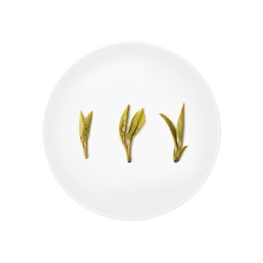 小罐茶  20罐装龙井茶（经典）4g*20 自饮矜贵 商务礼赠 48小时发货 商品图2