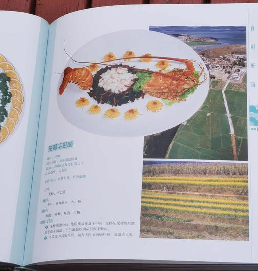 《滇菜大系》精装2厚册 12开本铜版彩印 商品图11