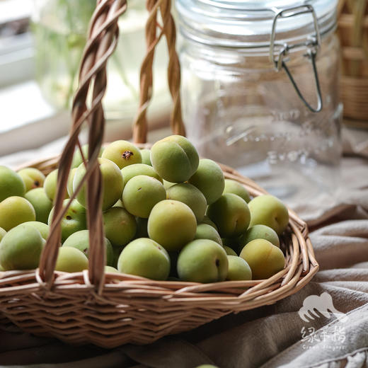 生态青梅（云南）（预售，预计5月12日开始发货） | 合作生产 * Eco-green plum | Coproduction 商品图3