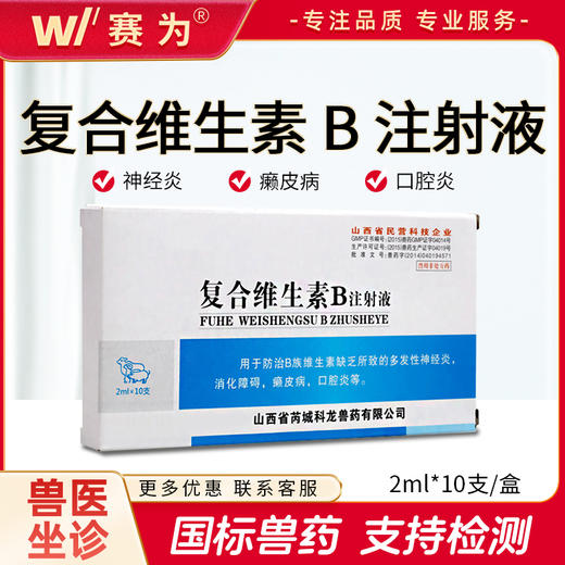 山西科龙 兽药兽用 复合维生素B注射液 猪牛羊癞皮病 口腔炎消化障碍 商品图0