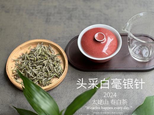 【白茶礼盒装】2024头采白毫银针，鲜、嫩、爽、滑，怎一个“嫩”字了得？ 商品图6
