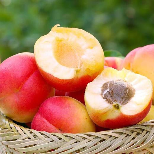 彩虹杏450g 商品图3