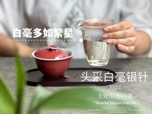 【白茶礼盒装】2024头采白毫银针，鲜、嫩、爽、滑，怎一个“嫩”字了得？ 商品图10