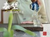 【白茶礼盒装】2024牡丹王，白毫奇多，做好仅几天茶汤就生成3个月才有的糯感 商品缩略图7
