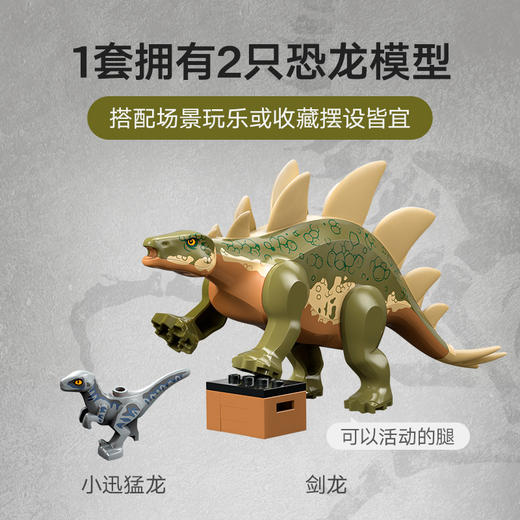 乐高LEGO tbd-JW-2024-4LEGC76965 商品图3