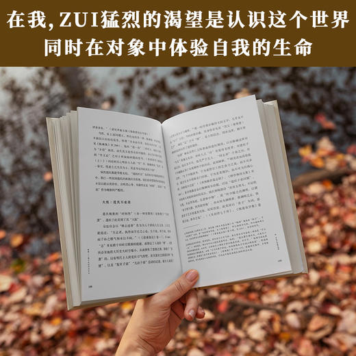 挥别 属于我的学术年代 商品图1