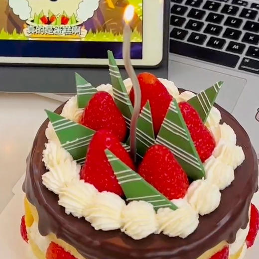 【懒洋洋青草蛋糕】最近超火，葱绿青草是巧克力做的，可以食用哦~ 商品图9