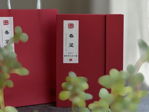 【白茶礼盒装】2024牡丹王，白毫奇多，做好仅几天茶汤就生成3个月才有的糯感 商品图1