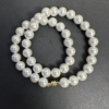 68246贝母珍珠项链 商品缩略图0