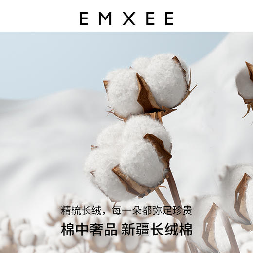 【内衣内裤专场】嫚熙孕妇内裤女怀孕早期中晚期月子专用纯棉抑菌低腰托腹夏季大码 商品图1