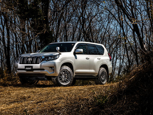 RAYS GRAM LIGHTS 57XR-X 轮圈 商品图9