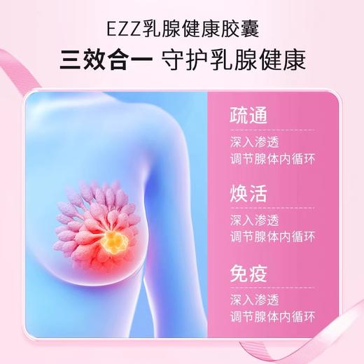 EZZ 乳腺健康胶囊 60粒/瓶 商品图4
