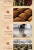 闻樽茅樽 商品缩略图5