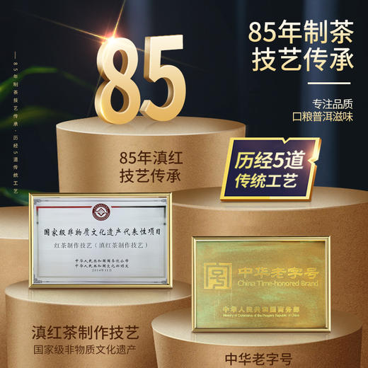 凤牌普洱茶 生茶 云南临沧普洱七子饼茶叶百年古树茶357g茶饼2019年老茶 商品图5