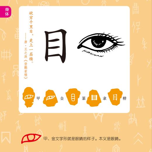 《汉字真有趣》 商品图7
