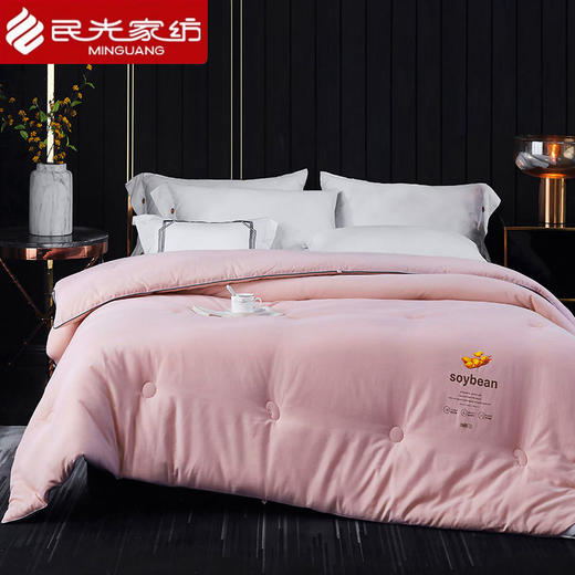 民光柔肤大豆蛋白纤维全棉【春秋被芯】（160*210CM）-B14304XXG 商品图1