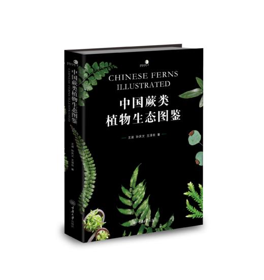 中国蕨类植物生态图鉴 商品图0