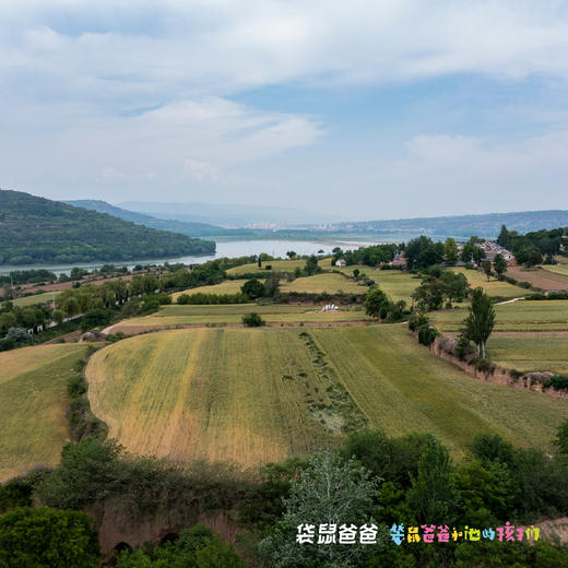 限量200套补团！【袋鼠爸爸去哪儿丨宝鸡千阳海棠千湖度假酒店】酒店位于中国民间艺术刺绣之乡宝鸡千阳县，紧邻国宝朱鹮的圣地--千湖国家湿地公园（套餐含2张成人门票），漫步其间，体验小城生活的松弛感 商品图13