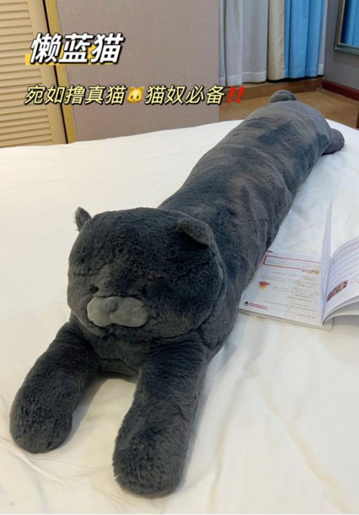 🎉【House&room 家居长条/花朵腰枕靠垫（野兽派同款）】🎈1.欧阳娜娜，井柏然同款抱枕！ 商品图5